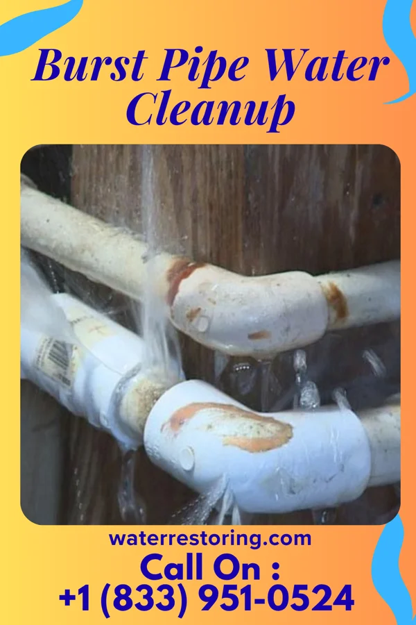 Burst Pipe Water Cleanup in Smithville, NJ