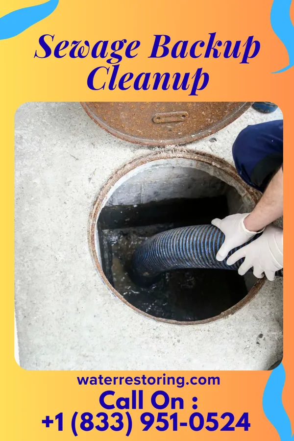 Sewage Backup Cleanup in Smithville, NJ