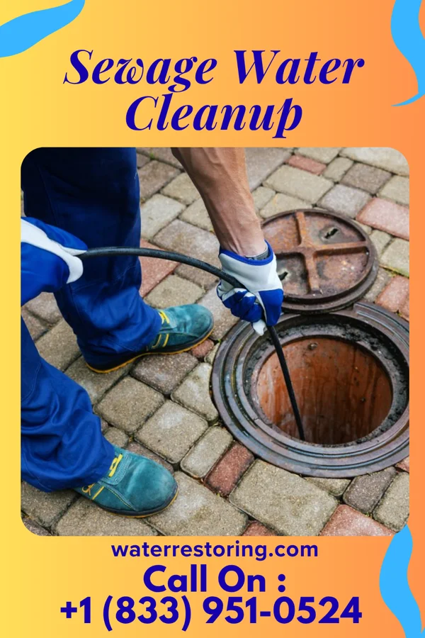 Sewage Water Cleanup in Smithville, NJ